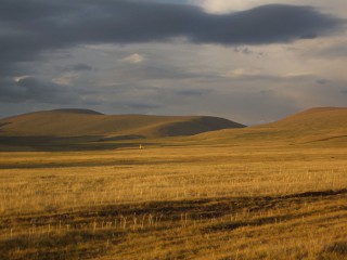 Галерея 1